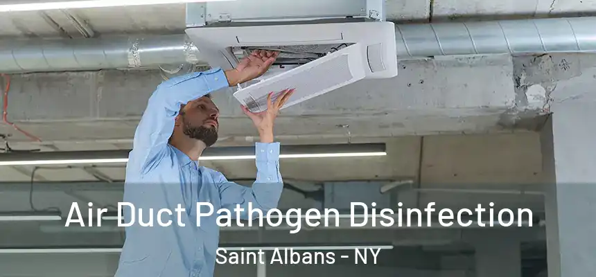 Air Duct Pathogen Disinfection Saint Albans - NY