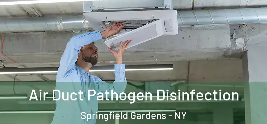 Air Duct Pathogen Disinfection Springfield Gardens - NY