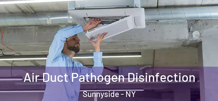  Air Duct Pathogen Disinfection Sunnyside - NY