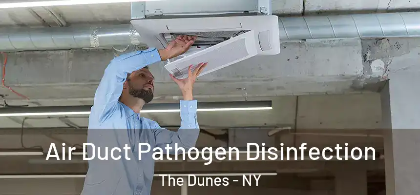 Air Duct Pathogen Disinfection The Dunes - NY
