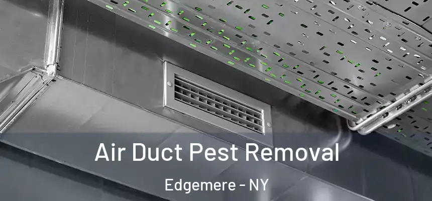  Air Duct Pest Removal Edgemere - NY