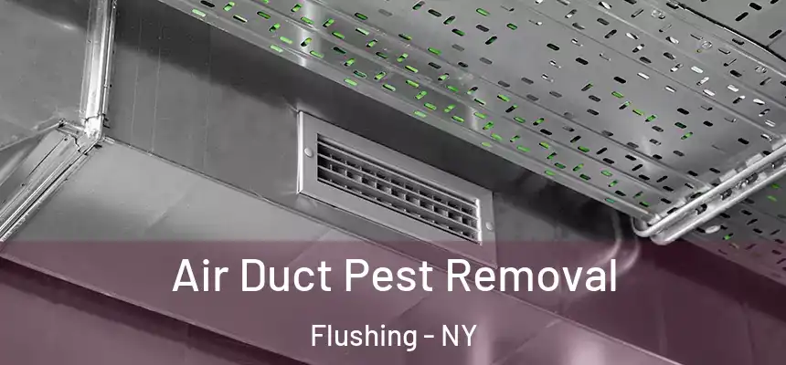 Air Duct Pest Removal Flushing - NY