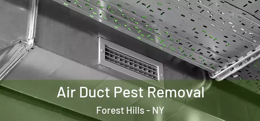 Air Duct Pest Removal Forest Hills - NY