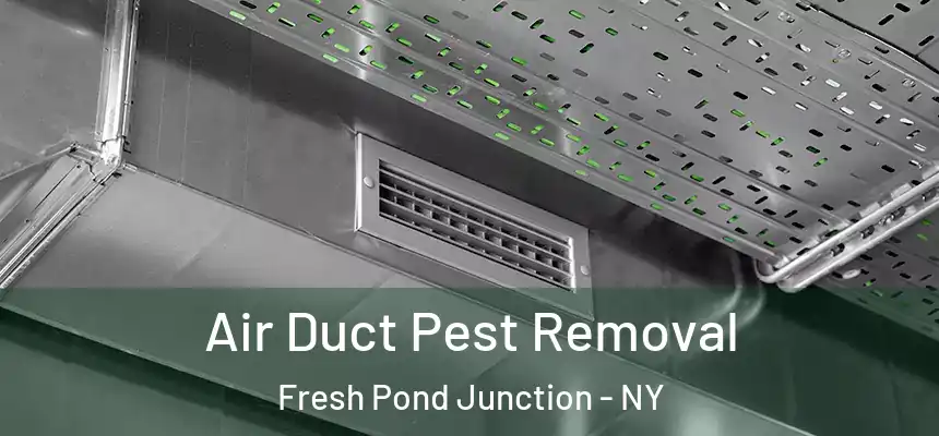 Air Duct Pest Removal Fresh Pond Junction - NY