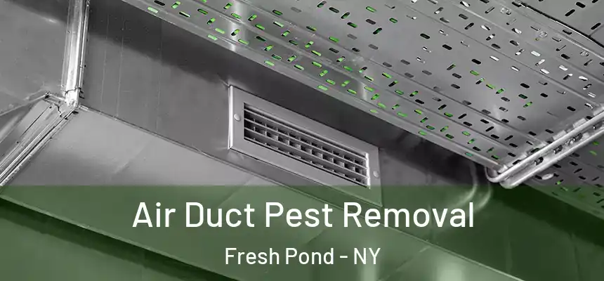 Air Duct Pest Removal Fresh Pond - NY