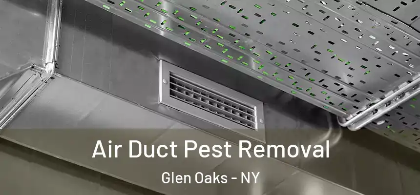  Air Duct Pest Removal Glen Oaks - NY