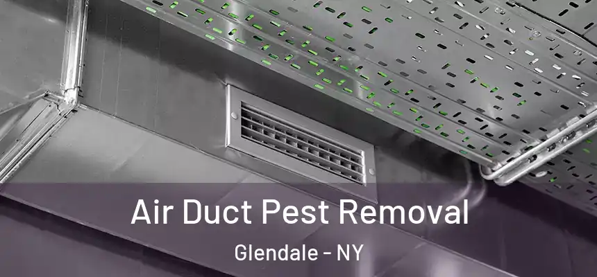  Air Duct Pest Removal Glendale - NY