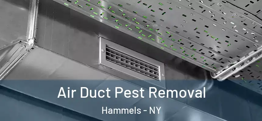 Air Duct Pest Removal Hammels - NY