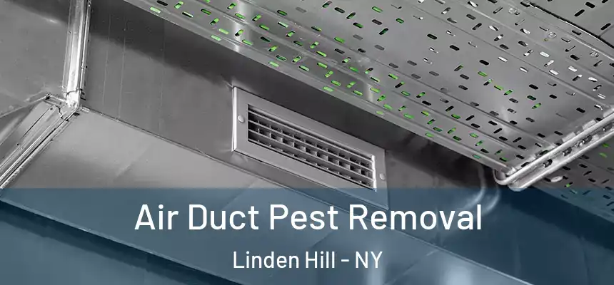 Air Duct Pest Removal Linden Hill - NY