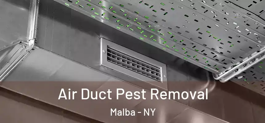 Air Duct Pest Removal Malba - NY