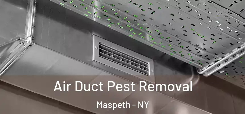 Air Duct Pest Removal Maspeth - NY