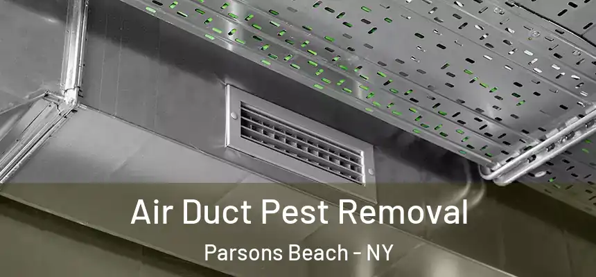 Air Duct Pest Removal Parsons Beach - NY