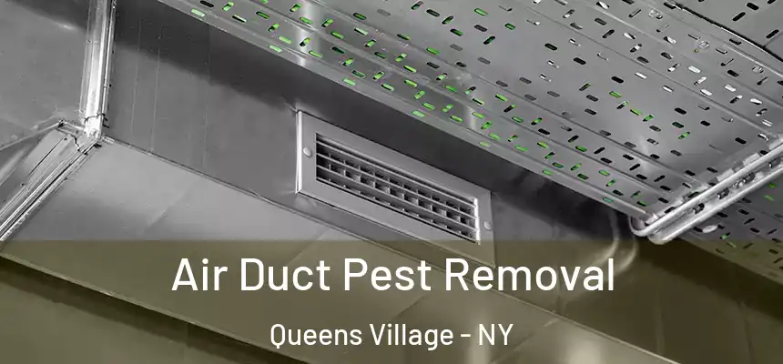 Air Duct Pest Removal Queens Village - NY