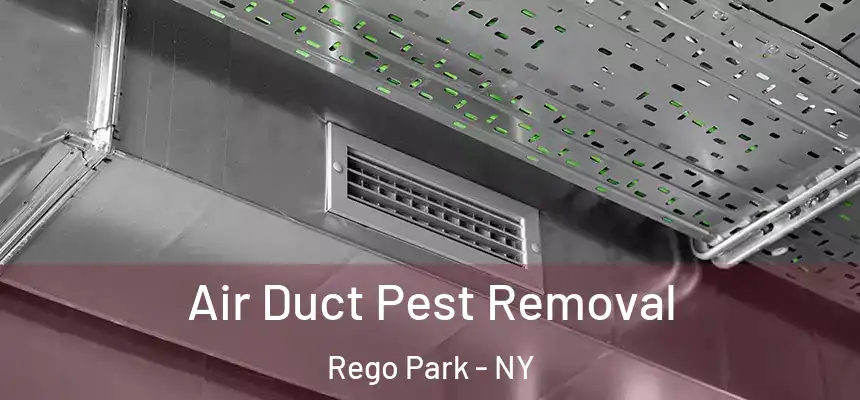  Air Duct Pest Removal Rego Park - NY