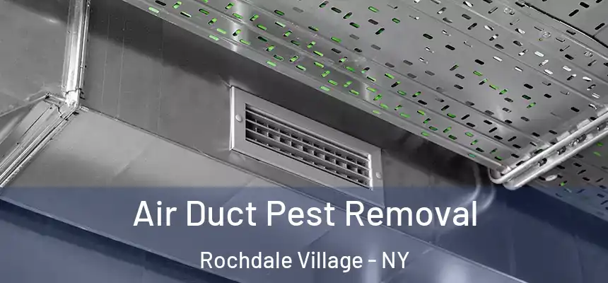  Air Duct Pest Removal Rochdale Village - NY