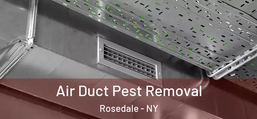  Air Duct Pest Removal Rosedale - NY