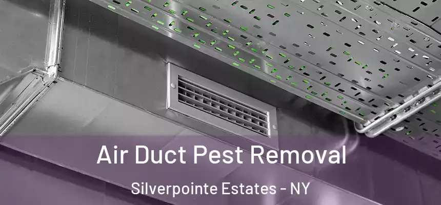 Air Duct Pest Removal Silverpointe Estates - NY
