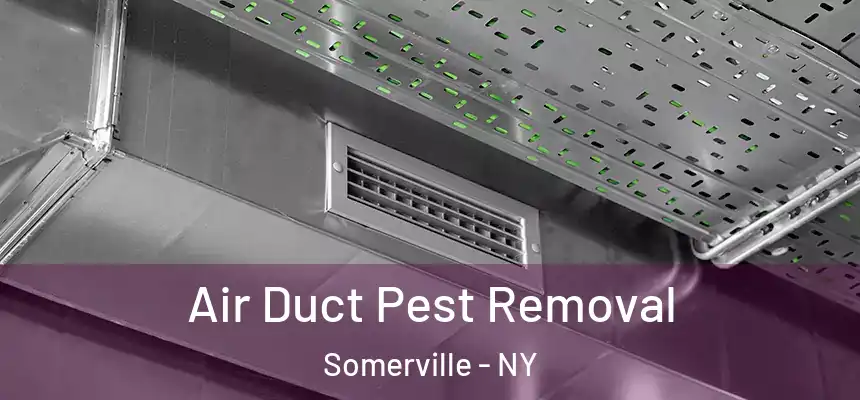  Air Duct Pest Removal Somerville - NY