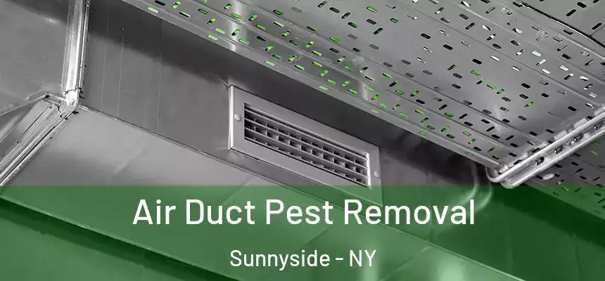 Air Duct Pest Removal Sunnyside - NY