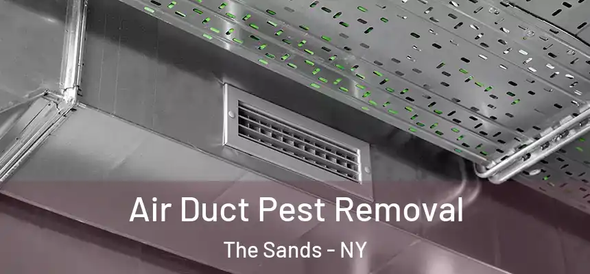  Air Duct Pest Removal The Sands - NY