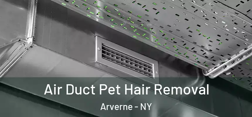  Air Duct Pet Hair Removal Arverne - NY