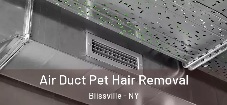  Air Duct Pet Hair Removal Blissville - NY
