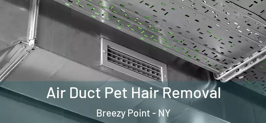 Air Duct Pet Hair Removal Breezy Point - NY