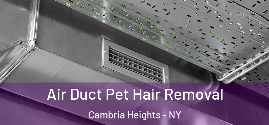 Air Duct Pet Hair Removal Cambria Heights - NY
