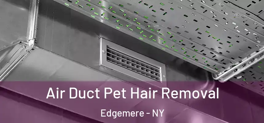  Air Duct Pet Hair Removal Edgemere - NY