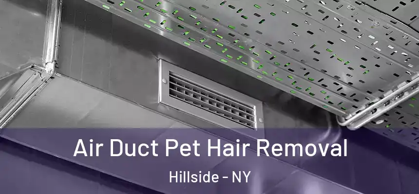 Air Duct Pet Hair Removal Hillside - NY