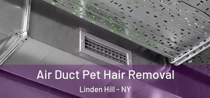 Air Duct Pet Hair Removal Linden Hill - NY