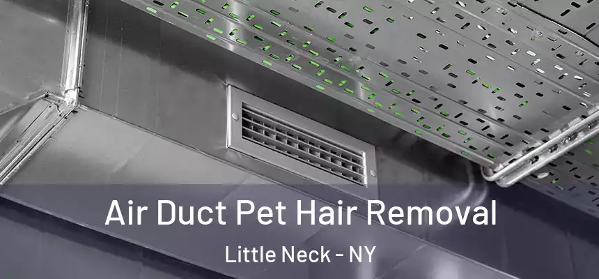 Air Duct Pet Hair Removal Little Neck - NY