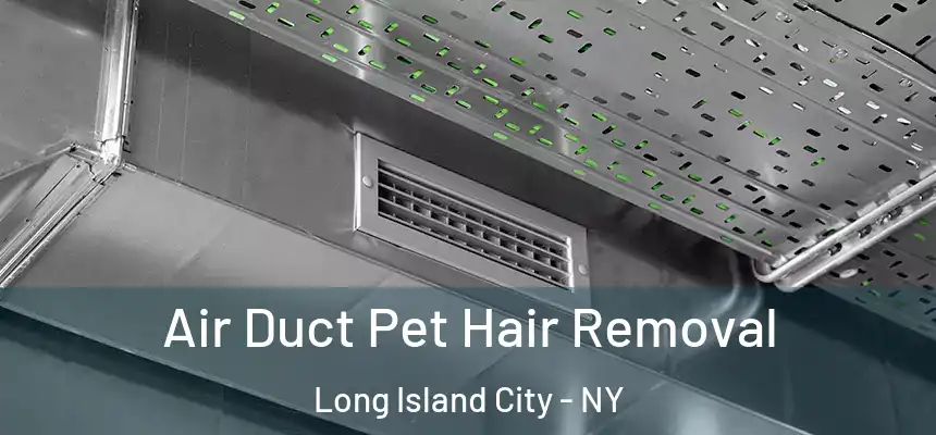  Air Duct Pet Hair Removal Long Island City - NY