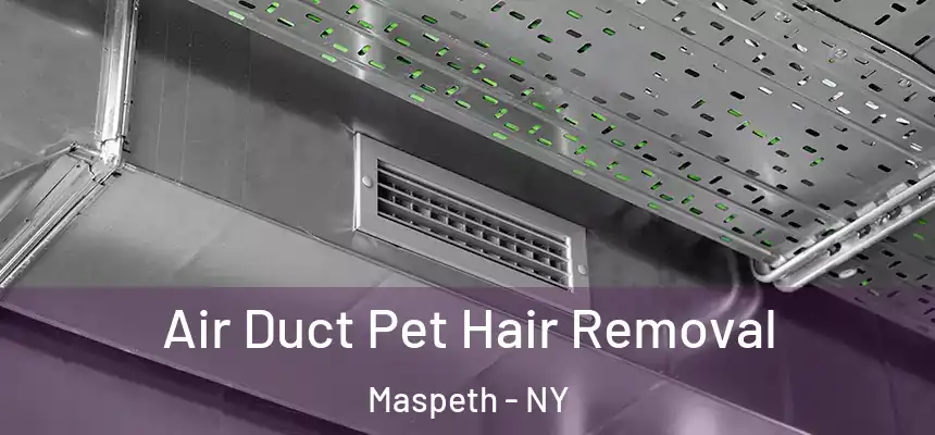  Air Duct Pet Hair Removal Maspeth - NY