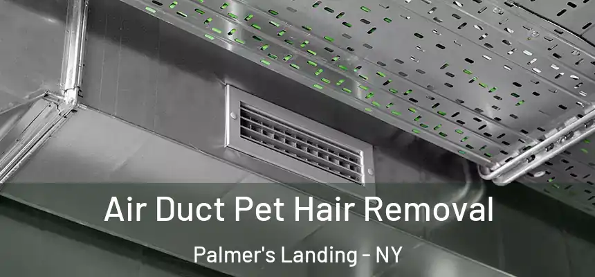  Air Duct Pet Hair Removal Palmer's Landing - NY