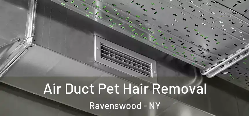  Air Duct Pet Hair Removal Ravenswood - NY