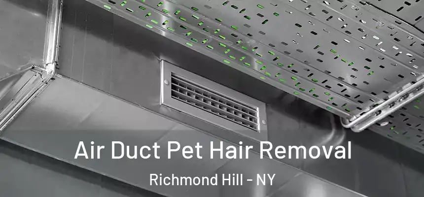 Air Duct Pet Hair Removal Richmond Hill - NY
