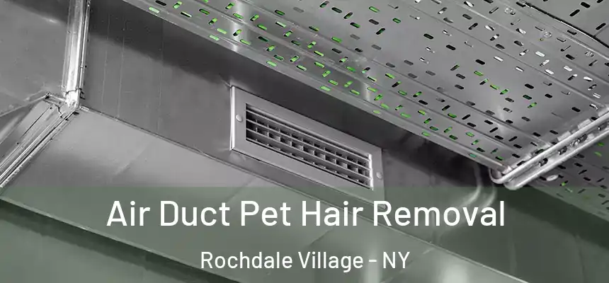  Air Duct Pet Hair Removal Rochdale Village - NY