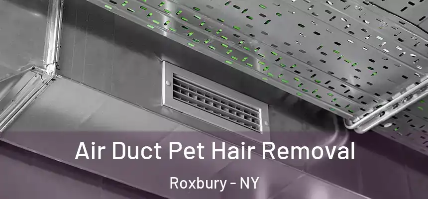  Air Duct Pet Hair Removal Roxbury - NY
