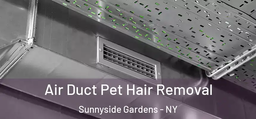  Air Duct Pet Hair Removal Sunnyside Gardens - NY
