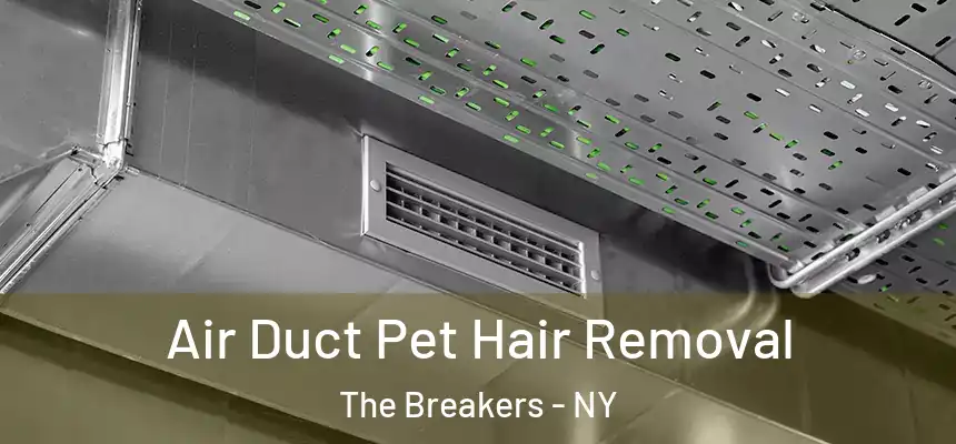  Air Duct Pet Hair Removal The Breakers - NY