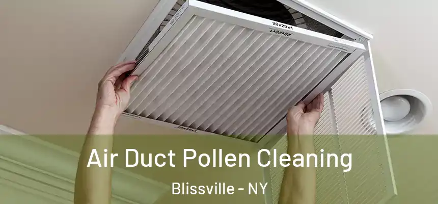  Air Duct Pollen Cleaning Blissville - NY