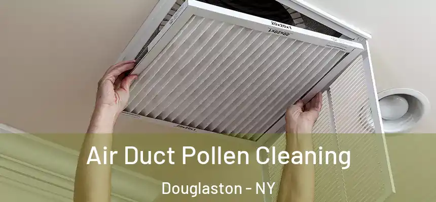 Air Duct Pollen Cleaning Douglaston - NY