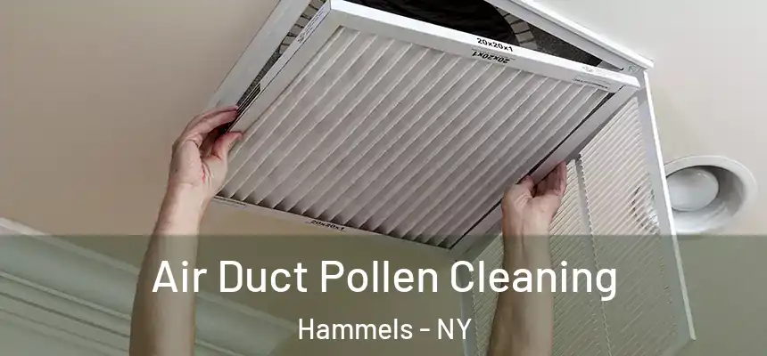 Air Duct Pollen Cleaning Hammels - NY