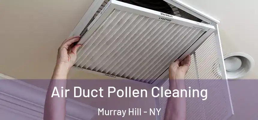 Air Duct Pollen Cleaning Murray Hill - NY