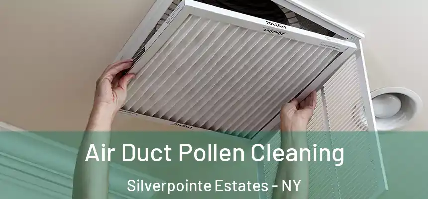 Air Duct Pollen Cleaning Silverpointe Estates - NY