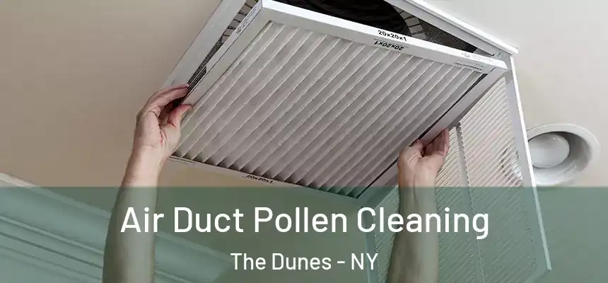  Air Duct Pollen Cleaning The Dunes - NY