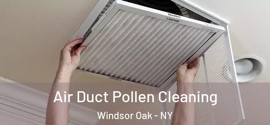 Air Duct Pollen Cleaning Windsor Oak - NY