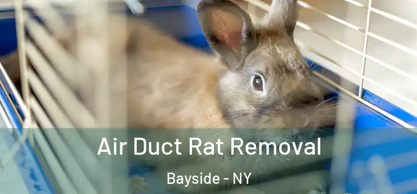 Air Duct Rat Removal Bayside - NY