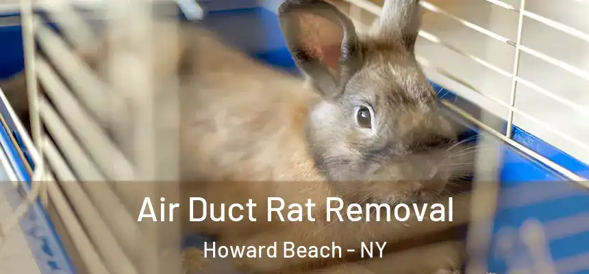  Air Duct Rat Removal Howard Beach - NY